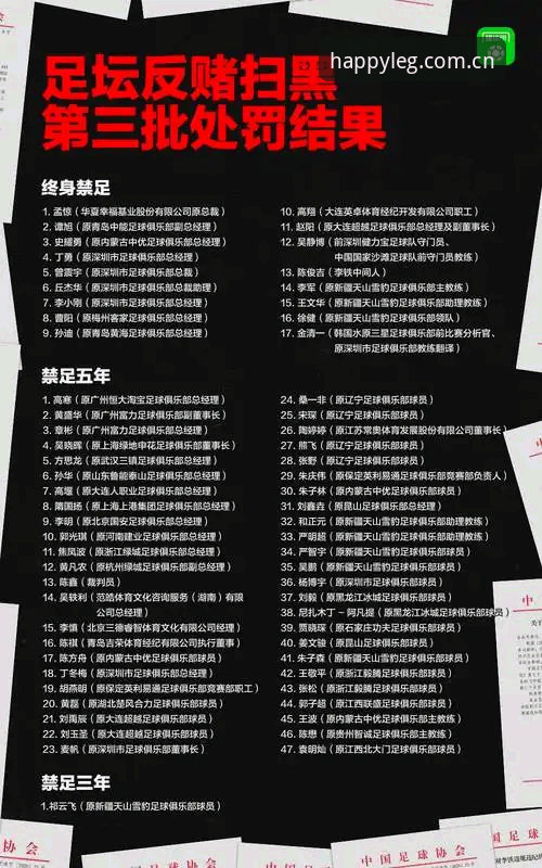 乐冠国际手机版下载 中国足协第三批禁足名单详解:行业整顿背后的深层逻辑