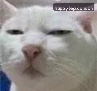 刘洋